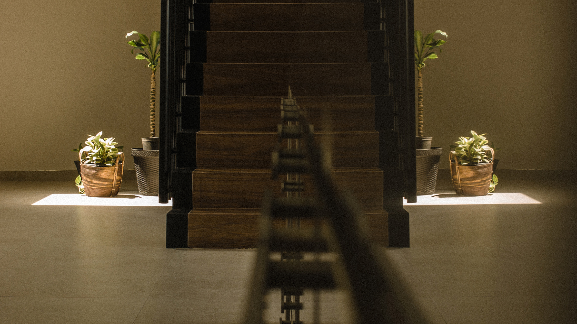 Blackmagic Cinema Camera_1_2000-01-01_0101_C0004_000048PH