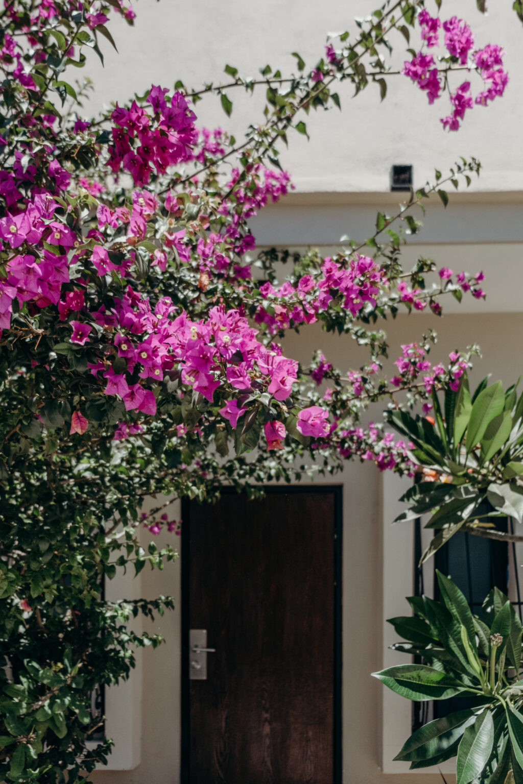 Luminal Lomas Altas-8